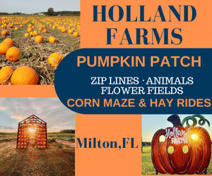 Holland Farms 2026 Holland Farms